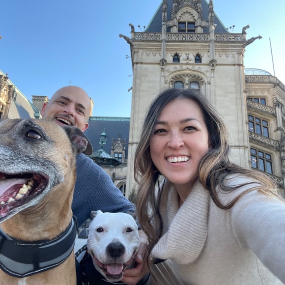 Meet your Posher, Cat - Picture 7 of 7